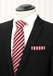 HISDERN Men's Necktie Collections, Lot 5 PCS