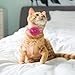 PUPTECK Cat Collar with Bells - 2 Pack Cute Breakaway Kitten Collars with Removable Accessories, Heart and Flower