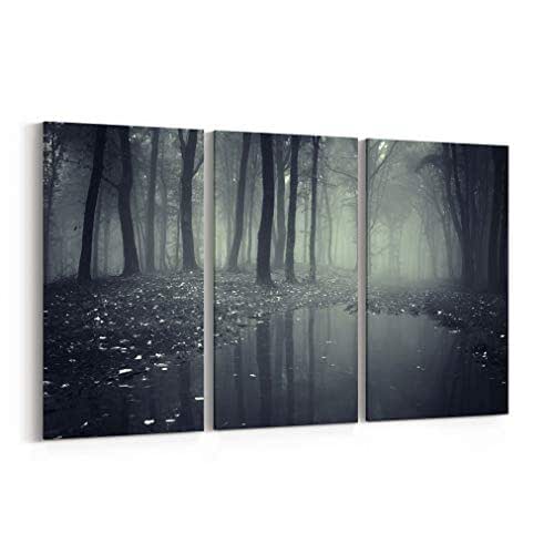 Amazon.com: Forest in Fog Canvas Print Forest in Fog Canvas Art Forest