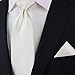 PUCCINI Bows-N-Ties Men's Necktie Solid Color Microfiber Satin Tie 3.25 Inches (Cream)