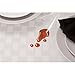 Bardwil Linens Reflections 60