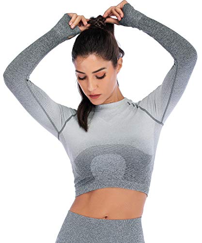 image for RUNNING GIRL Ombre Seamless Crop Top Long Sleeve Layer Crew Neck Power