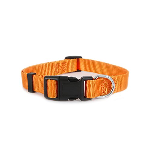 Ruff Maxx Adjustable Collar, Orange, 3/4" x 14-20"