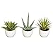 Nearly Natural 4769 Southwest Collection Agave Plant, Green, Set of 3