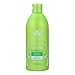 2 Pack of Nature's Gate Jasmine Kombucha Shine Enhancing Conditioner - 18 Fl oz.