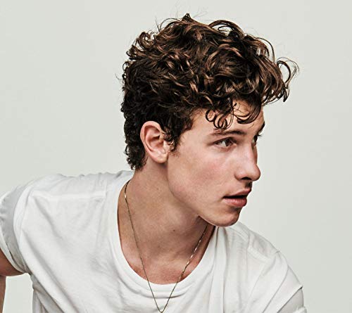 Shawn Mendes Deluxe Edition 2019 Japan Cd 22 Titles Uicl 1143 4988031357675 Ebay