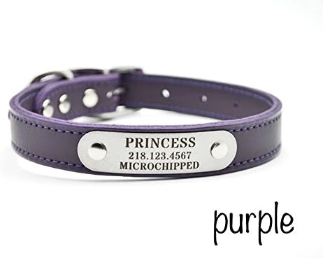 Leather Dog Collar with Personalized Nameplate - PURPLE