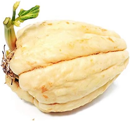 Amazon はやとうり 千成瓜 センナリウリ Chayote チャヨテ ハヤトウリ 球根種子 白 2個 トレリス