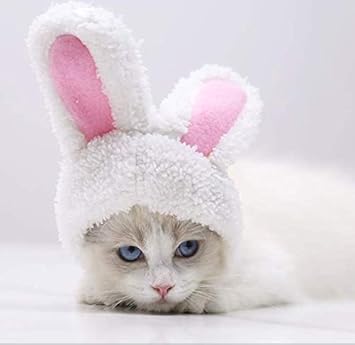 Amazon Happy Happy ペット帽子 コスプレ仮装 猫のヘアアクセサリー 面白いかわいいうさぎ変身 猫 かぶりも 猫用帽子 犬猫用ウィッグ 猫コスプレ うさ耳変身 ハロウィン 猫被り物 猫の帽子 おしゃれ ペットの帽子 コスプレキャップ 変身 かぶりもの 調整可能