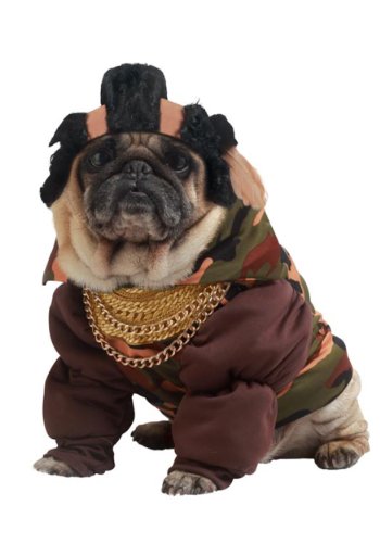 Pup-A-Razzi Pity The Bull Dog Costume, Black