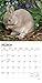 Rabbits 2020 12 x 12 Inch Monthly Square Wall Calendar, Domestic Pet Animals (English, French and Spanish Edition)