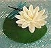 Fused Glass Flowers