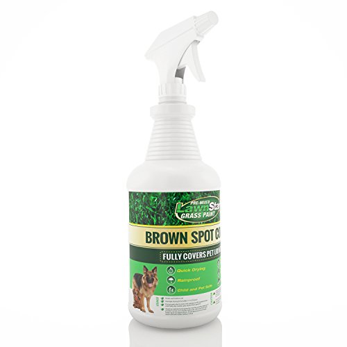 Lawn Star PreMixed Grass Paint Makes Grass Green Designed to Cover