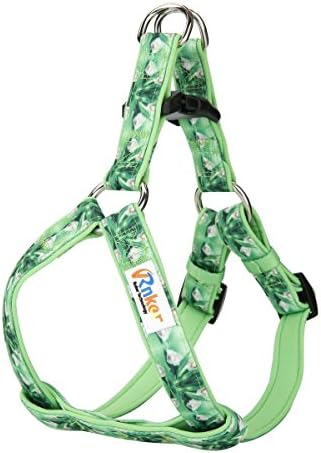 Rnker Step-in Harnesses, no pull, flowers pattern by hot stamping, Neoprene Padded, adjustable walking, training dog Harness for small dogs (Green)