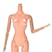 Supershopping 1 Pc 12 Jointed Movable Nude Naked Doll Body Parts 25cm/10.23