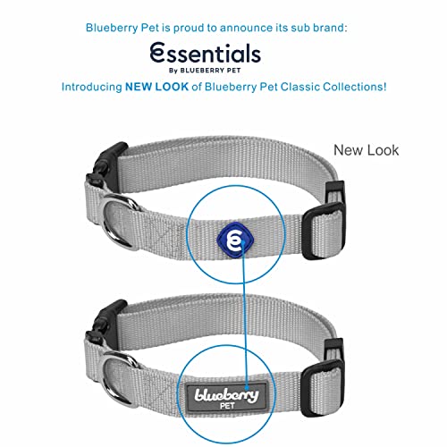 Blueberry Pet Essentials 21 Colors Classic Dog Collar, Royal Blue