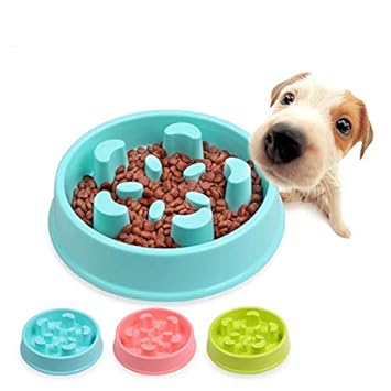 Buy Petlicious More Anti Choke Small Dogs Puppies Food Slow