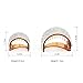 Diamond Semicircular Hair Clip Claw (Brown)