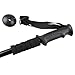 AGPtek Pair 2 Adjustable Anti-Shock Trekking Hiking Sticks Poles-alpenstock Walking-mountaineering - 6061 Aluminum Black