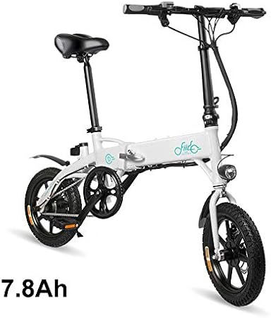 bicicletta a pedalata assistita per adulti