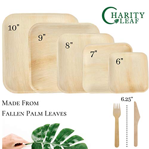 Charity Leaf 8" Disposable Palm Plate With Knife And Fork Bamboo Like Square Plates | All Natural, Biodegradable and Chemical Free | Weddings, BBQs, and Parties (25 Plates, 25 Forks, and 25 Knives)