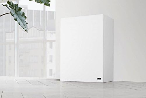 LYNGDORF BW-2 High-Bandwidth 400-watt/10 Subwoofer (Matte White)