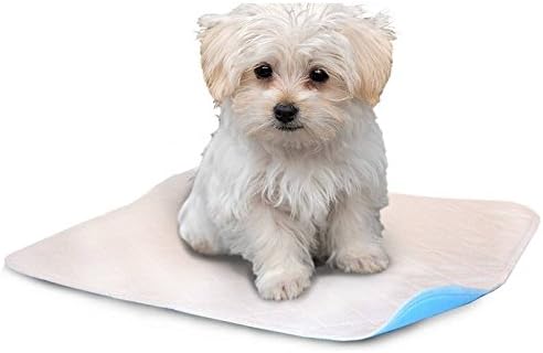 LennyPads Whelping Pads - Ultra Absorbent, Reusable, Training, Housebreaking and Travel Washable Pee Pads – 6-Pack (18" x 24") Medium Pad