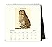 Cavallini 2017 Vintage Owls Desk Calendar