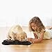 Syntus Double Dog Bowls Stainless Steel Dog Pet Feeder with Non-Skid Anti-Overflow Silicon Mat for Puppy, Dogs, Cats and Other Pets