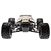 Force RC 1/8 Epidemic 4WD Monster Truck Brushless RTR