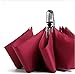 Lucear Travel Umbrella Automatic Open/close Strong Waterproof Umbrellas - 3 Fold Compact for Easy Carrying Totes Bags (Red)