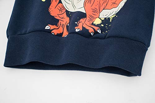 DDSOL Little Boys Cotton Cute Crew Neck Long Sleeve Sweatshirt (2T-11T)