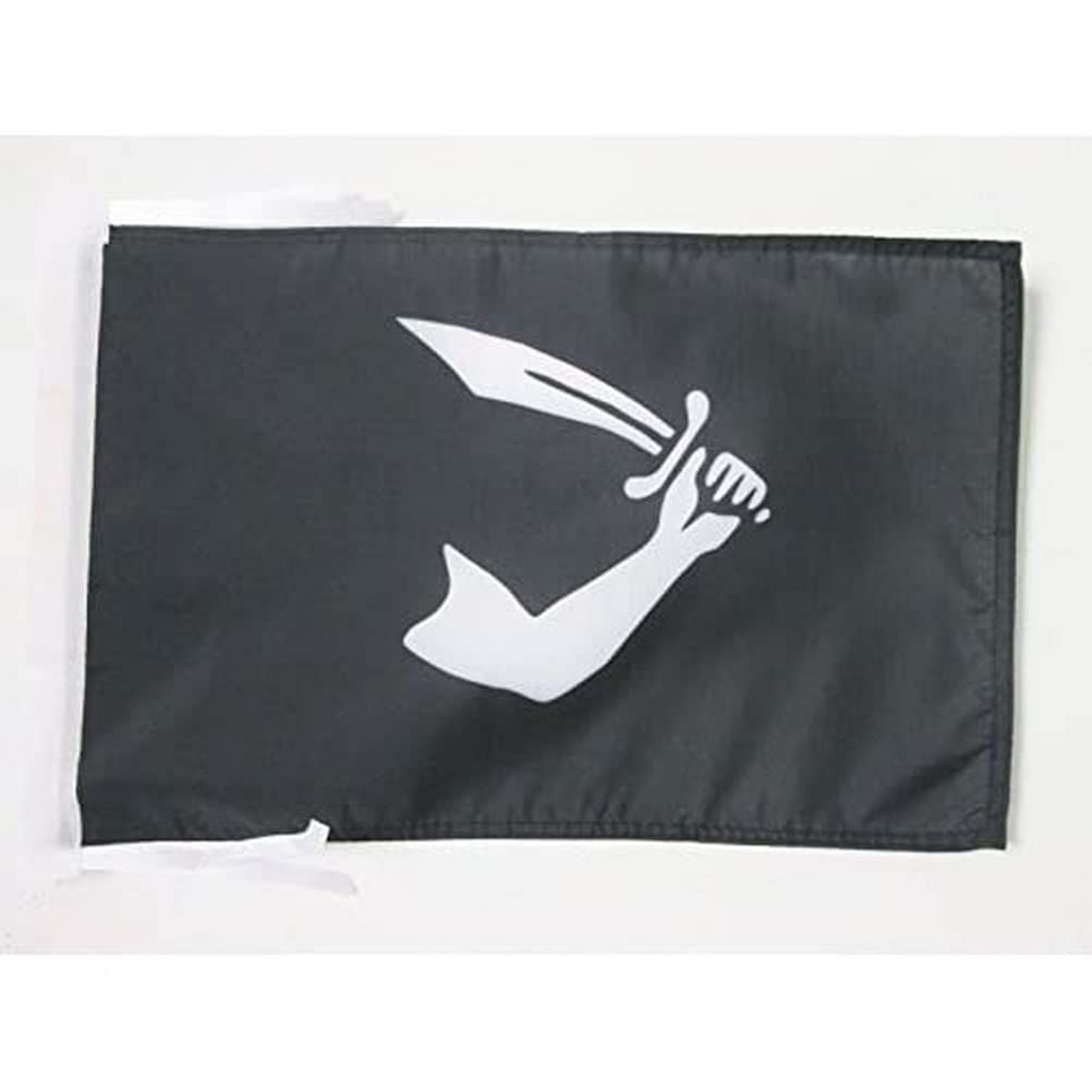 AZ FLAG - Pirate Thomas Tew Flag - 18'' x 12'' - 100% Polyester skull Pirates Small Banner with Two Cords - Fade Resistant - Vivid Colors - 18x12 in - 45x30 Cm — image 1