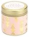 Paddywax Kaleidoscope Collection Scented Travel Tin Candle, 3-Ounce, Salted Grapefruit