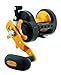Daiwa STTBG30H Saltist 30 HighSpeed Black Gold Conventional Saltwater Reel