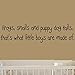 Frogs Snails and Puppy Dog Tails, That's What Little Boys are Made of Large Nursery Wall Decals Vinyl Wall Quote Nursery Wall Decor Boys Room