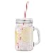 VonShef Set of 4 Mason Glass Drinking Jars Set 15 Ounce Glasses with Reusable Straws, Twist Lids and Handles