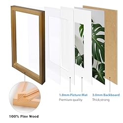 Egofine 11x14 Picture Frame Display Pictures