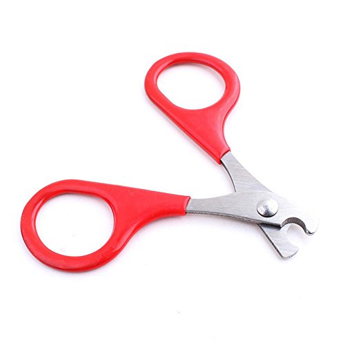 Pet Nail Clipper Dog Cat Stainless Steel Durable Easy Use Cutter Puppy Kitten Claw Care Supplies Tool For Small Animal
