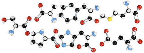 Molecular models company 14-bk225 7 amino acid model ki…