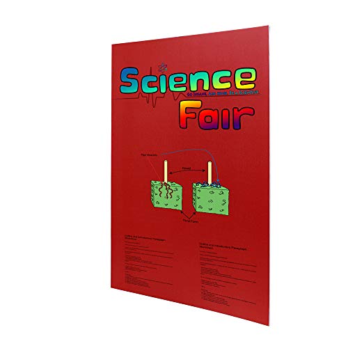 2 Lightweight+Backing+Signboard+Durable+Presentation