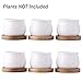 Jyukan White Ceramic Succulent Plant Pots, 2.4 Inch Small Succulent Cactus Planter with Drainage Hole, Bamboo Tray, Set of 6