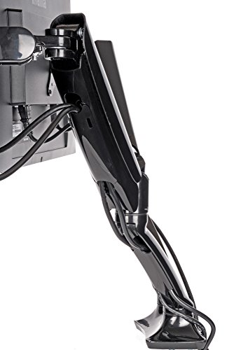 iiyama DS3001C-B1 Staffa per Monitor Singolo, Braccio con Molla a Gas, per Monitor Fino a 27 Pollici, Fino a 5kg, Nero