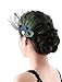 Aukmla Peacock Feather Headband, Hair Accessories for Women and Girls on Party and Evening.,multi,Free Size