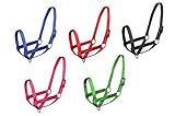 Derby Originals Nylon Cattle Halter at Wholesale Price Cow, Steer, Calf & Newborn - 5 Colors