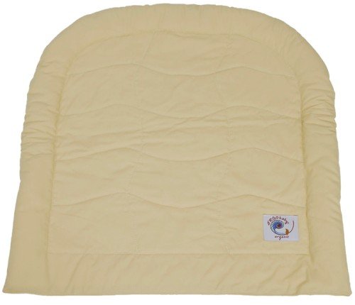 ergobaby infant insert amazon