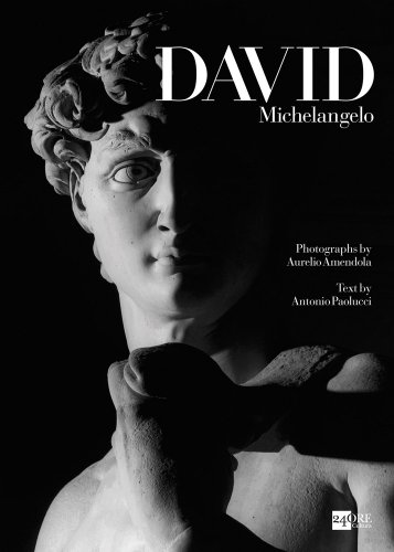 Michelangelo's David