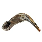 Judaica Mega Mall Shofar BB