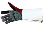 Collegiate Deluxe Glove