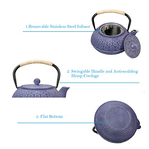 Cast Iron Teapot, Japanese Style Tetsubin, Tea Kettle with Removable Stainless Steel, Internal